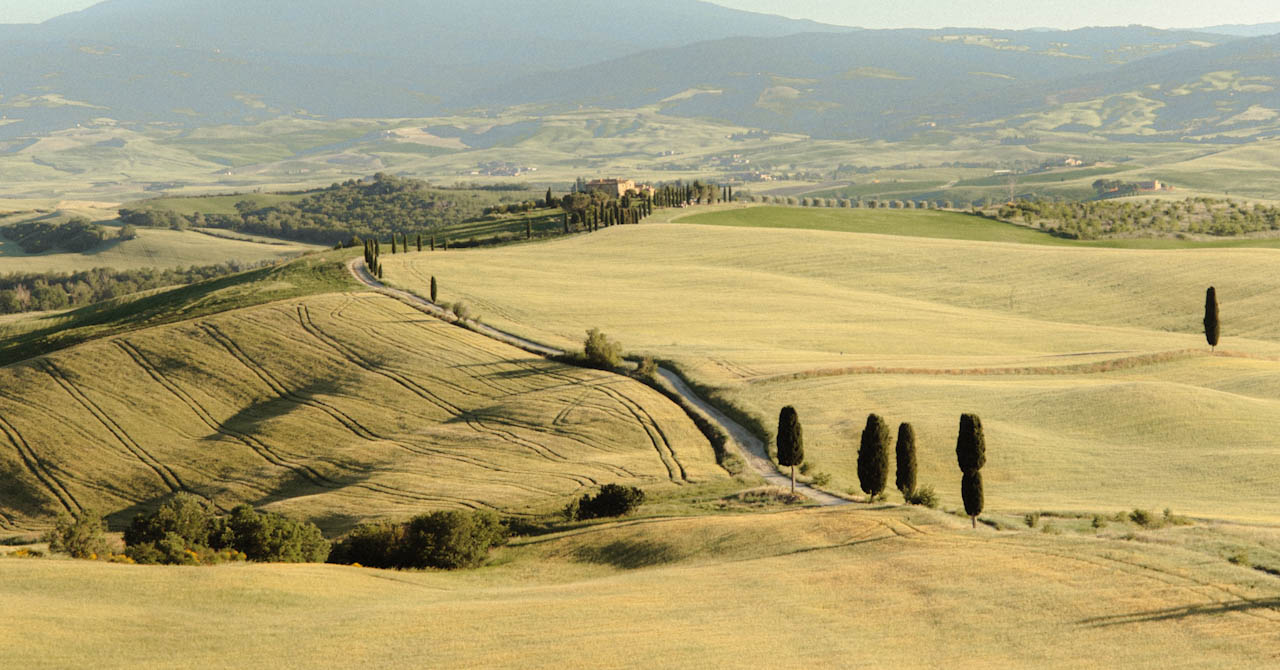 Soft landscape still